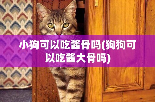 小狗可以吃醬骨嗎(狗狗可以吃醬大骨嗎)