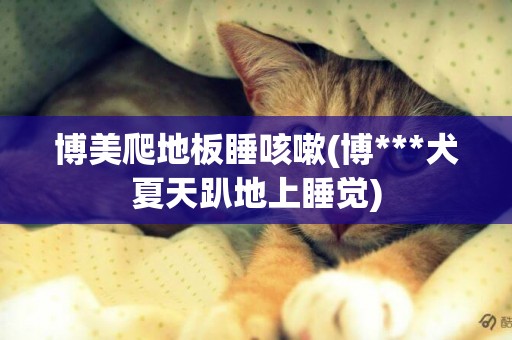 博美爬地板睡咳嗽(博***犬夏天趴地上睡覺)