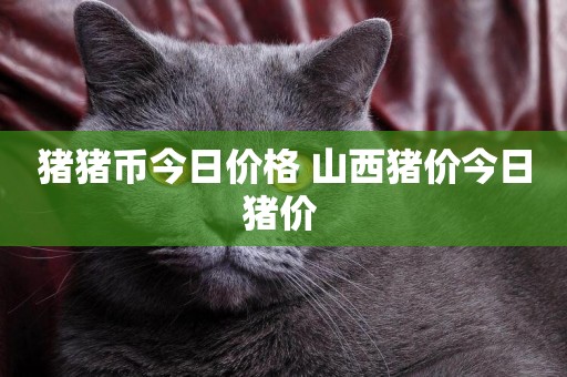 豬豬幣今日價格 山西豬價今日豬價 