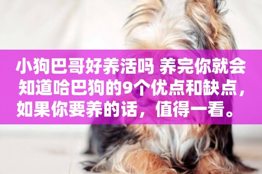 小狗巴哥好養活嗎 養完你就會知道哈巴狗的9個優點和缺點，如果你要養的話，值得一看。 