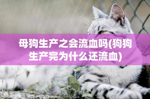 母狗生產之會流血嗎(狗狗生產完為什么還流血)