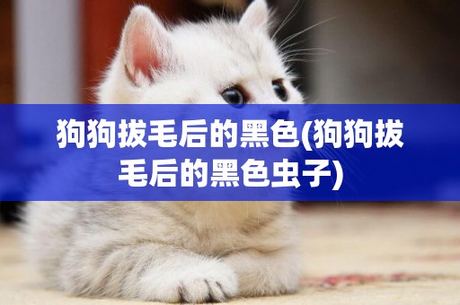 狗狗拔毛后的黑色(狗狗拔毛后的黑色蟲子)
