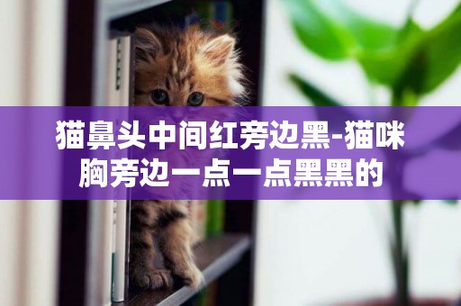 貓鼻頭中間紅旁邊黑-貓咪胸旁邊一點一點黑黑的