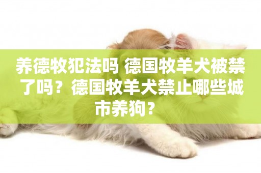 養德牧犯法嗎 德國牧羊犬被禁了嗎？德國牧羊犬禁止哪些城市養狗？ 