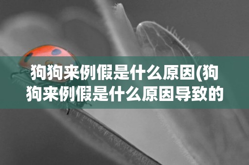 狗狗來例假是什么原因(狗狗來例假是什么原因導致的)