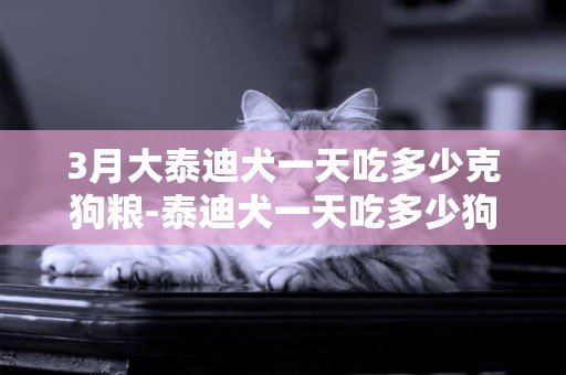 3月大泰迪犬一天吃多少克狗糧-泰迪犬一天吃多少狗糧