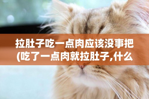 拉肚子吃一點肉應該沒事把(吃了一點肉就拉肚子,什么原因?)