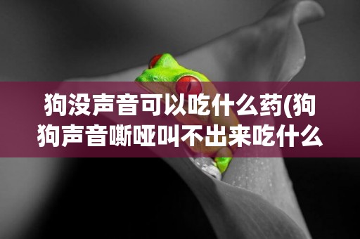 狗沒聲音可以吃什么藥(狗狗聲音嘶啞叫不出來吃什么藥)