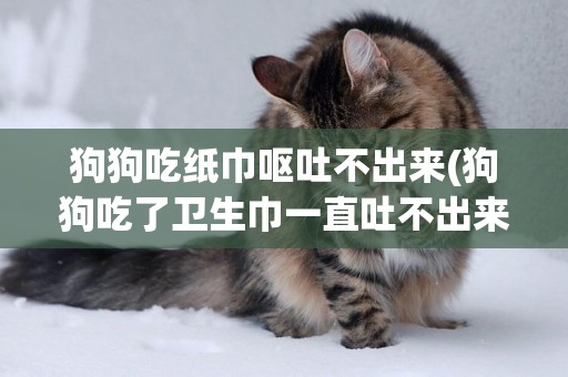 狗狗吃紙巾嘔吐不出來(狗狗吃了衛生巾一直吐不出來怎么辦)