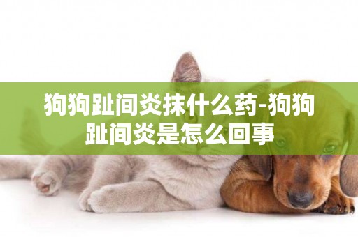狗狗趾間炎抹什么藥-狗狗趾間炎是怎么回事
