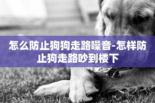 怎么防止狗狗走路噪音-怎樣防止狗走路吵到樓下