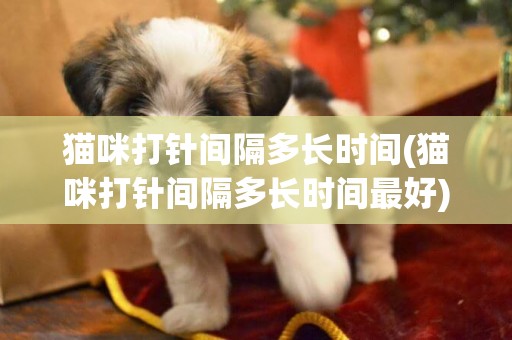 貓咪打針間隔多長時間(貓咪打針間隔多長時間最好)
