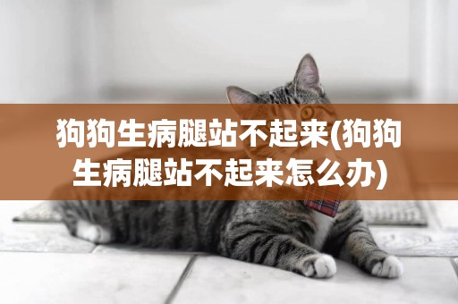 狗狗生病腿站不起來(狗狗生病腿站不起來怎么辦)