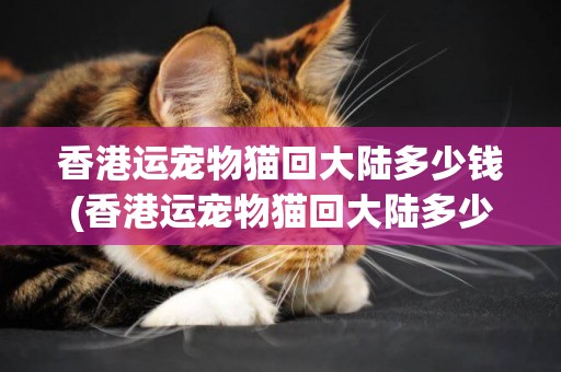 香港運寵物貓回大陸多少錢(香港運寵物貓回大陸多少錢一公斤)