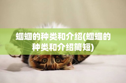 蟈蟈的種類和介紹(蟈蟈的種類和介紹簡短)