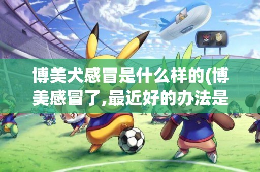 博美犬感冒是什么樣的(博美感冒了,最近好的辦法是什么)