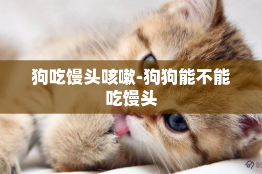 狗吃饅頭咳嗽-狗狗能不能吃饅頭