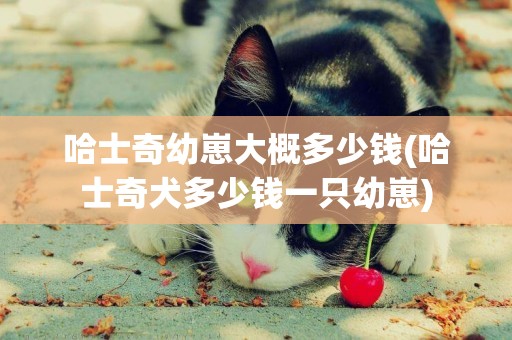 哈士奇幼崽大概多少錢(哈士奇犬多少錢一只幼崽)