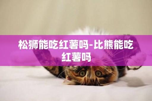 松獅能吃紅薯嗎-比熊能吃紅薯嗎