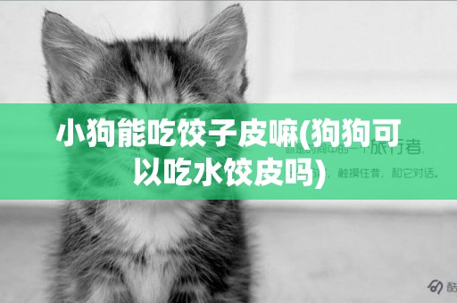 小狗能吃餃子皮嘛(狗狗可以吃水餃皮嗎)