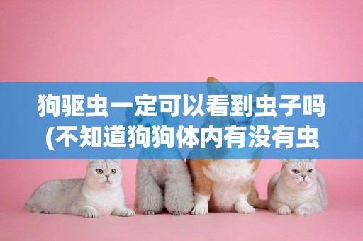 狗驅蟲一定可以看到蟲子嗎(不知道狗狗體內有沒有蟲需要驅蟲嗎?)