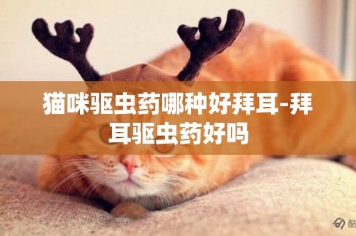 貓咪驅蟲藥哪種好拜耳-拜耳驅蟲藥好嗎