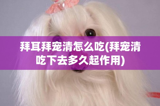 拜耳拜寵清怎么吃(拜寵清吃下去多久起作用)