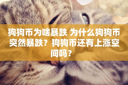 狗狗幣為啥暴跌 為什么狗狗幣突然暴跌？狗狗幣還有上漲空間嗎？ 