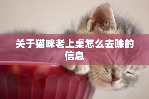 關于貓咪老上桌怎么去除的信息