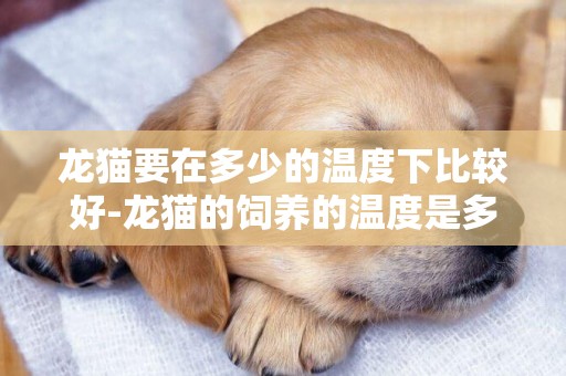 龍貓要在多少的溫度下比較好-龍貓的飼養的溫度是多少