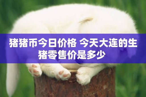 豬豬幣今日價格 今天大連的生豬零售價是多少 