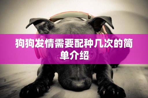 狗狗發情需要配種幾次的簡單介紹