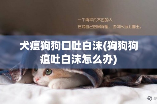 犬瘟狗狗口吐白沫(狗狗狗瘟吐白沫怎么辦)