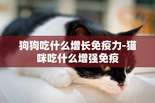 狗狗吃什么增長免疫力-貓咪吃什么增強免疫