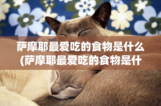 薩摩耶最愛吃的食物是什么(薩摩耶最愛吃的食物是什么食物)