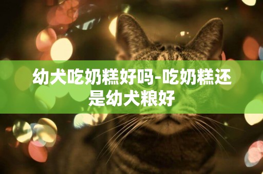 幼犬吃奶糕好嗎-吃奶糕還是幼犬糧好