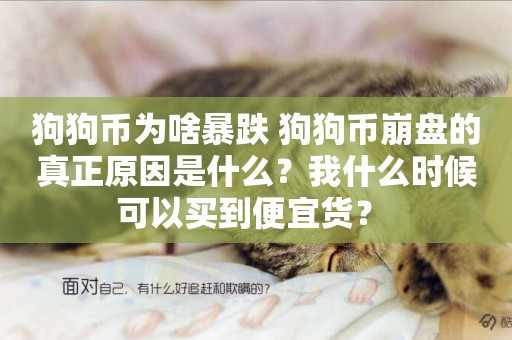 狗狗幣為啥暴跌 狗狗幣崩盤的真正原因是什么？我什么時候可以買到便宜貨？ 