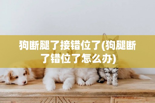 狗斷腿了接錯位了(狗腿斷了錯位了怎么辦)