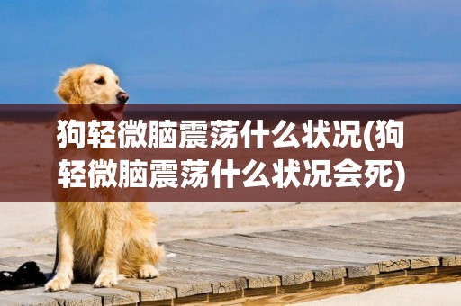 狗輕微腦震蕩什么狀況(狗輕微腦震蕩什么狀況會死)