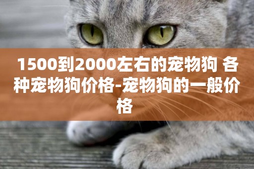 1500到2000左右的寵物狗 各種寵物狗價格-寵物狗的一般價格 
