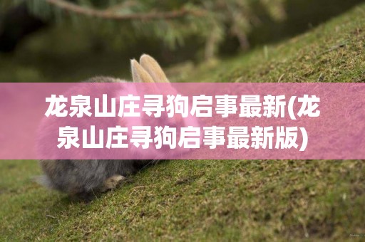 龍泉山莊尋狗啟事最新(龍泉山莊尋狗啟事最新版)