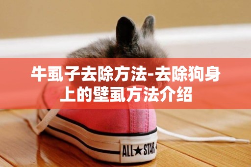 牛虱子去除方法-去除狗身上的壁虱方法介紹