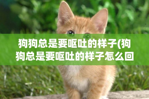 狗狗總是要嘔吐的樣子(狗狗總是要嘔吐的樣子怎么回事)