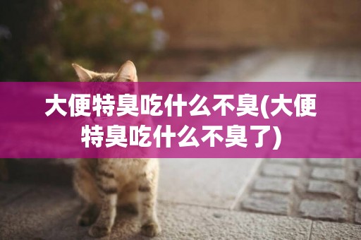 大便特臭吃什么不臭(大便特臭吃什么不臭了)