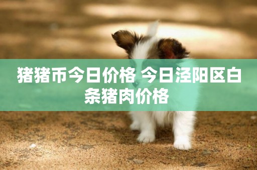 豬豬幣今日價格 今日涇陽區白條豬肉價格 