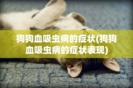 狗狗血吸蟲病的癥狀(狗狗血吸蟲病的癥狀表現)