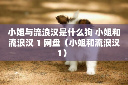 小姐與流浪漢是什么狗 小姐和流浪漢 1 網盤（小姐和流浪漢 1） 