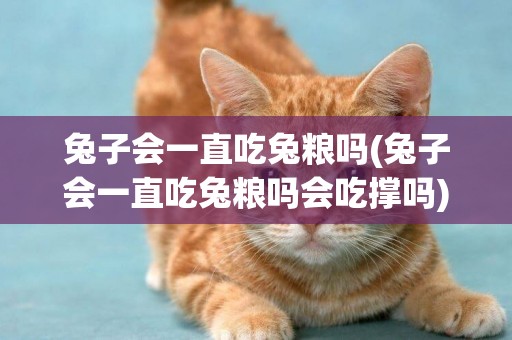 兔子會一直吃兔糧嗎(兔子會一直吃兔糧嗎會吃撐嗎)