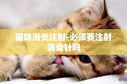貓咪消炎注射-必須要注射消炎針嗎
