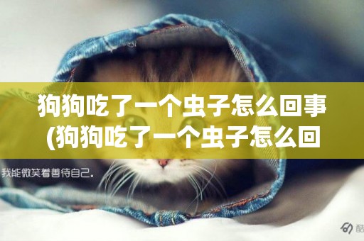 狗狗吃了一個蟲子怎么回事(狗狗吃了一個蟲子怎么回事兒)